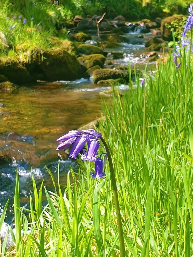 Bijou In Bronte Country With Wood-burning Stove & Hot Tub Haworth
