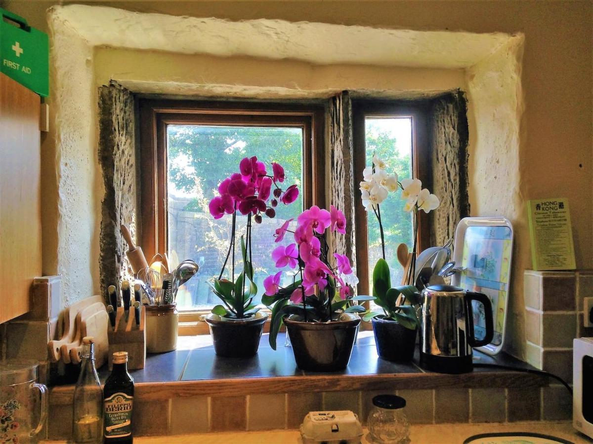 Holiday home Bijou In Bronte Country With Wood-burning Stove & Hot Tub