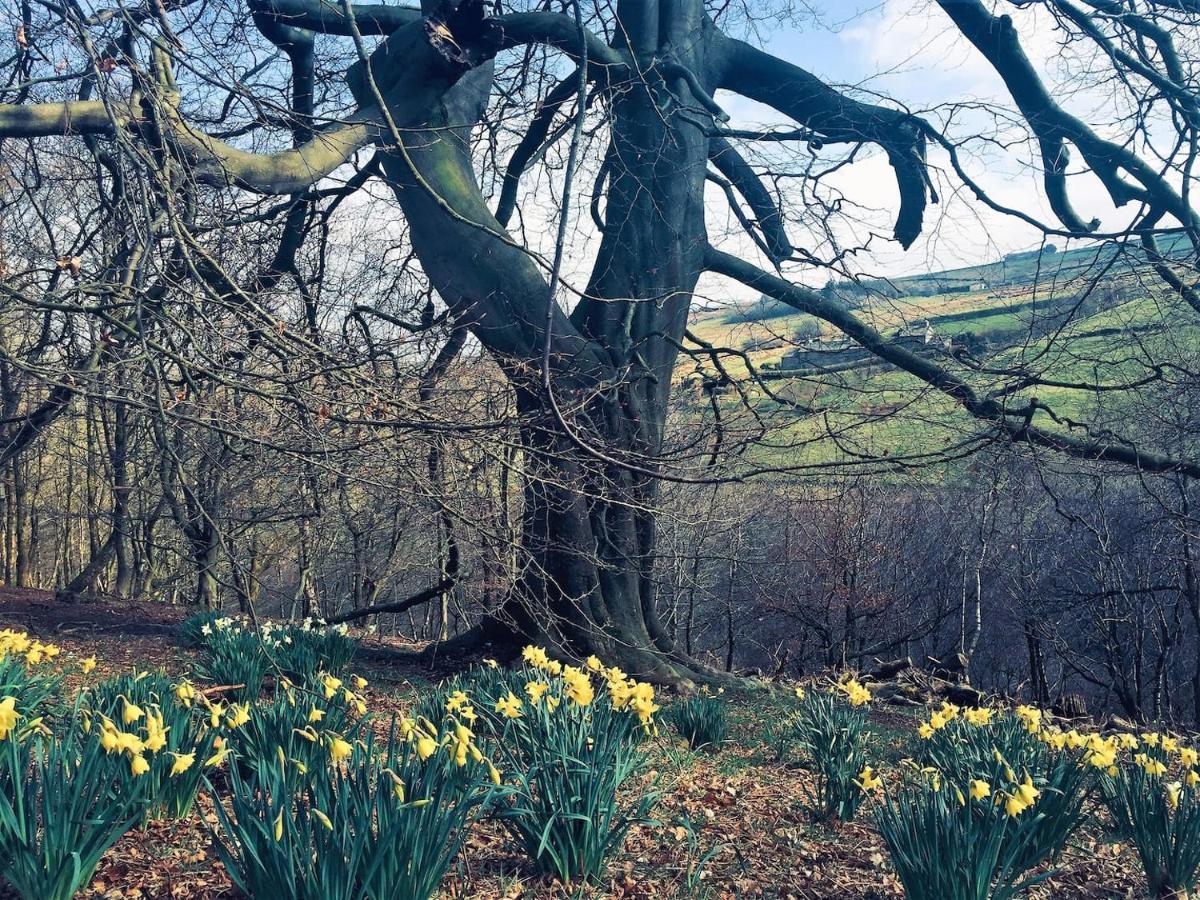 Holiday home Bijou In Bronte Country With Wood-burning Stove & Hot Tub Haworth